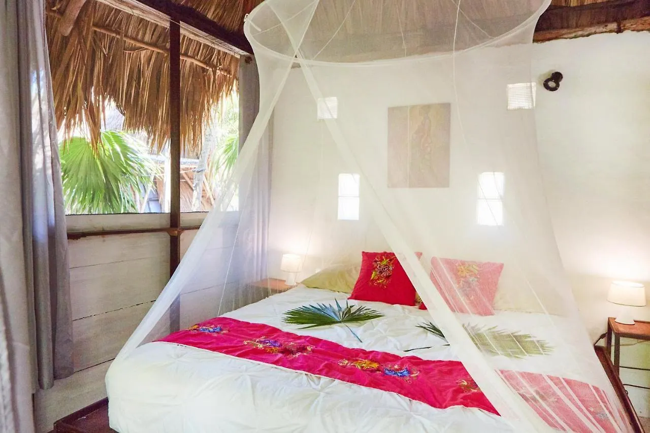 Hotel Jungle Beach Tulum Penzion