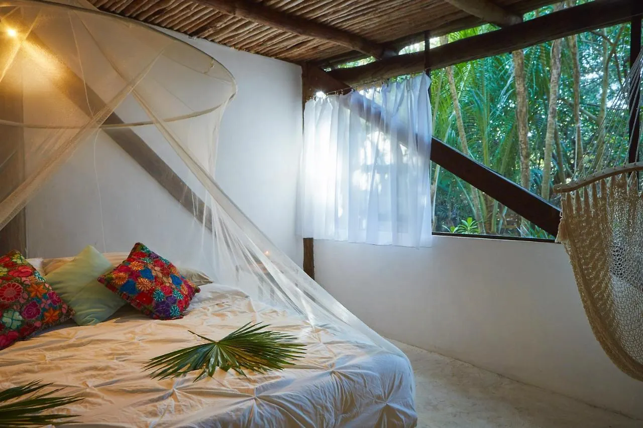 Jungle Beach Tulum Hotel