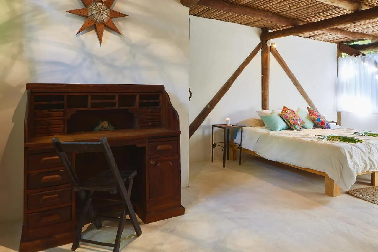 Penzion Hotel Jungle Beach Tulum Mexiko