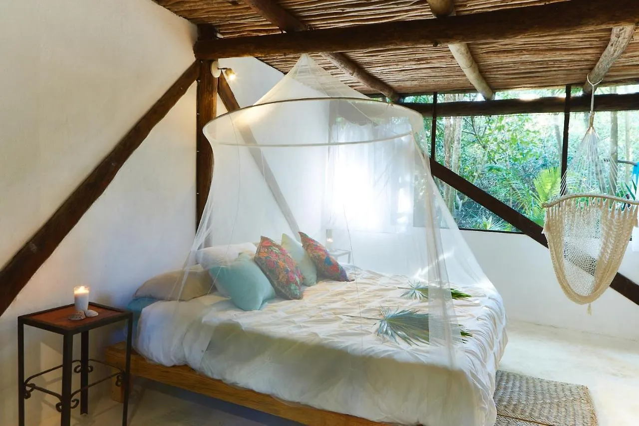 Penzion Hotel Jungle Beach Tulum Mexiko