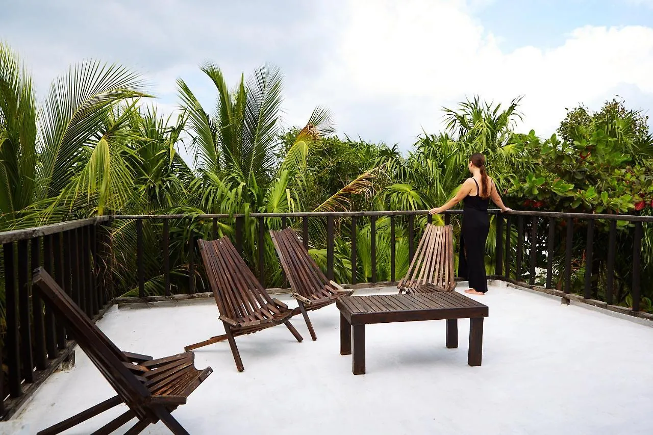 Hotel Jungle Beach Tulum Mexiko