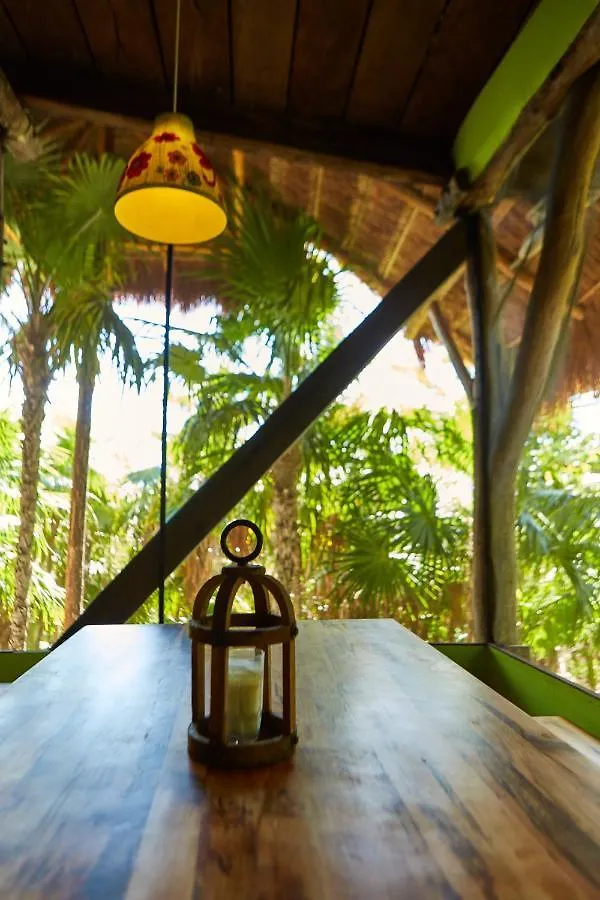 Jungle Beach Tulum Hotel Fogadó
