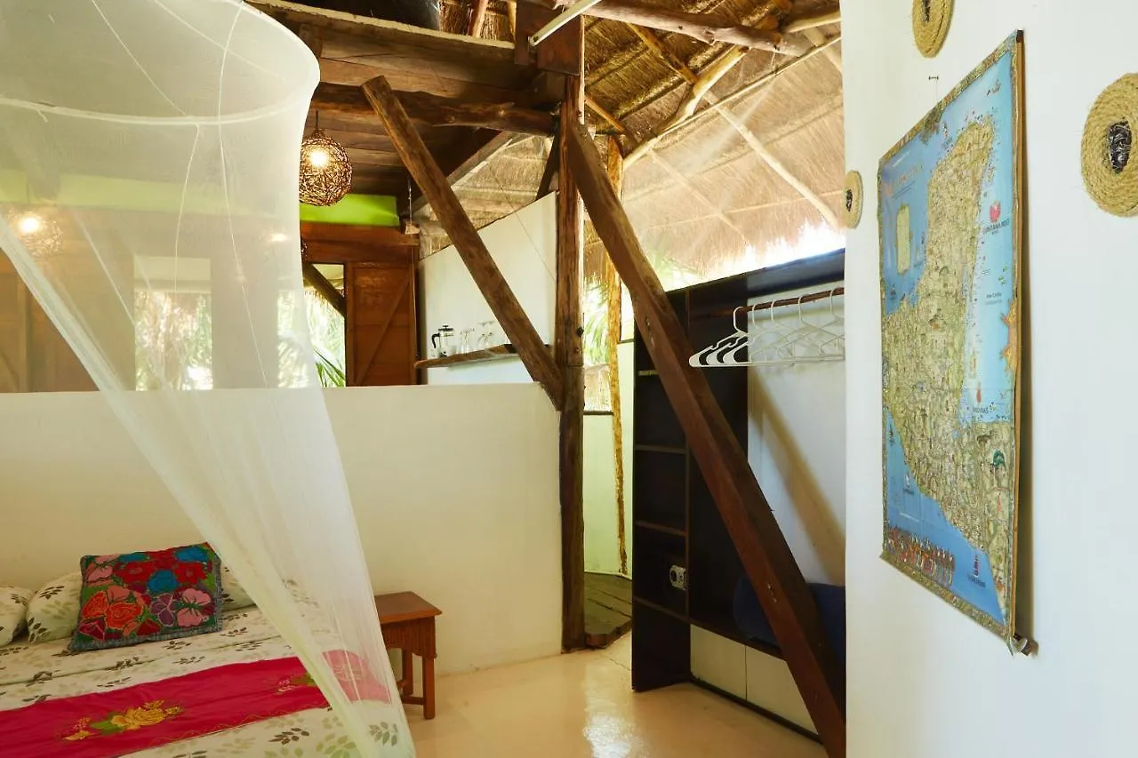 Penzion Hotel Jungle Beach Tulum Mexiko