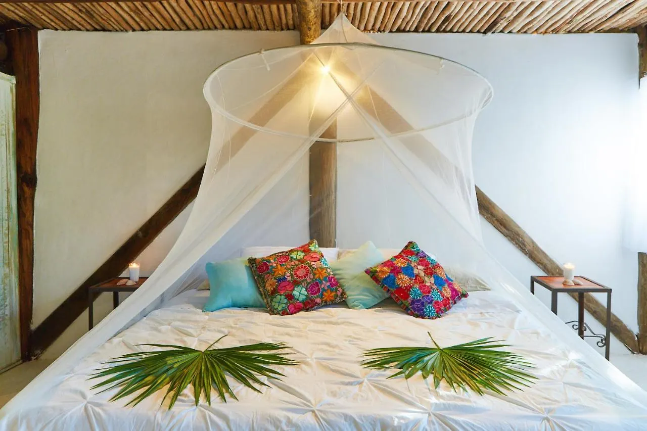 Penzion Hotel Jungle Beach Tulum