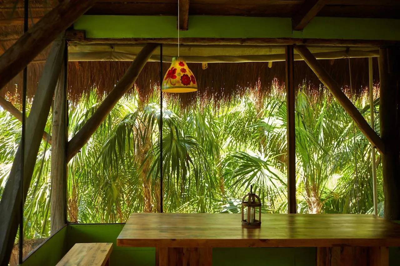 Hotel Jungle Beach Tulum 0*,