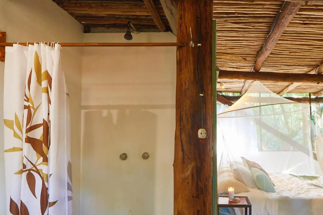 Hôtel Jungle Beach Tulum Mini-hôtel