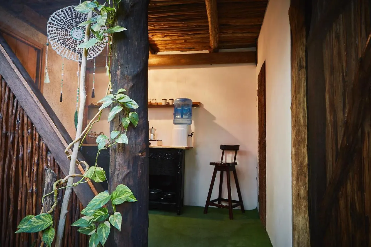 Hôtel Jungle Beach Tulum Mexique