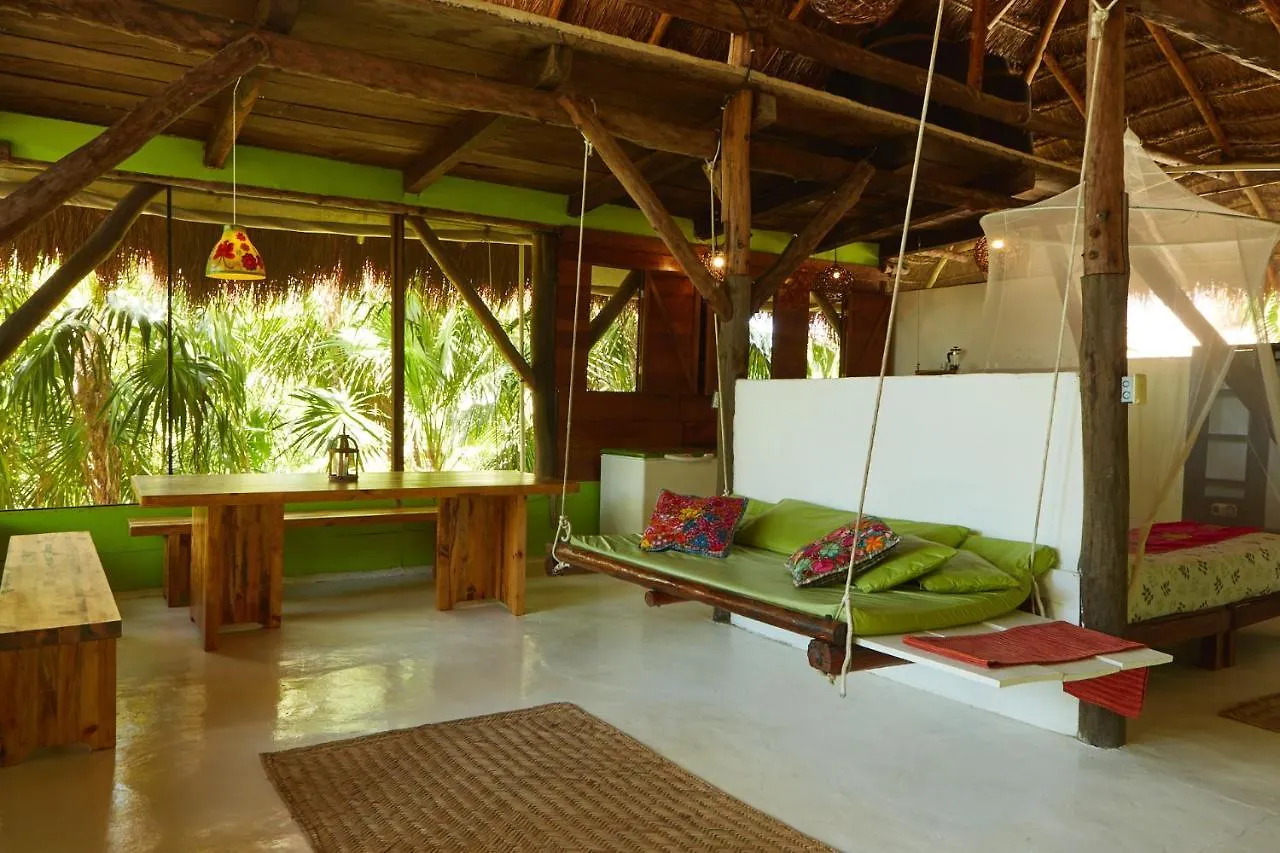 Hôtel Jungle Beach Tulum 0*,  Mexique