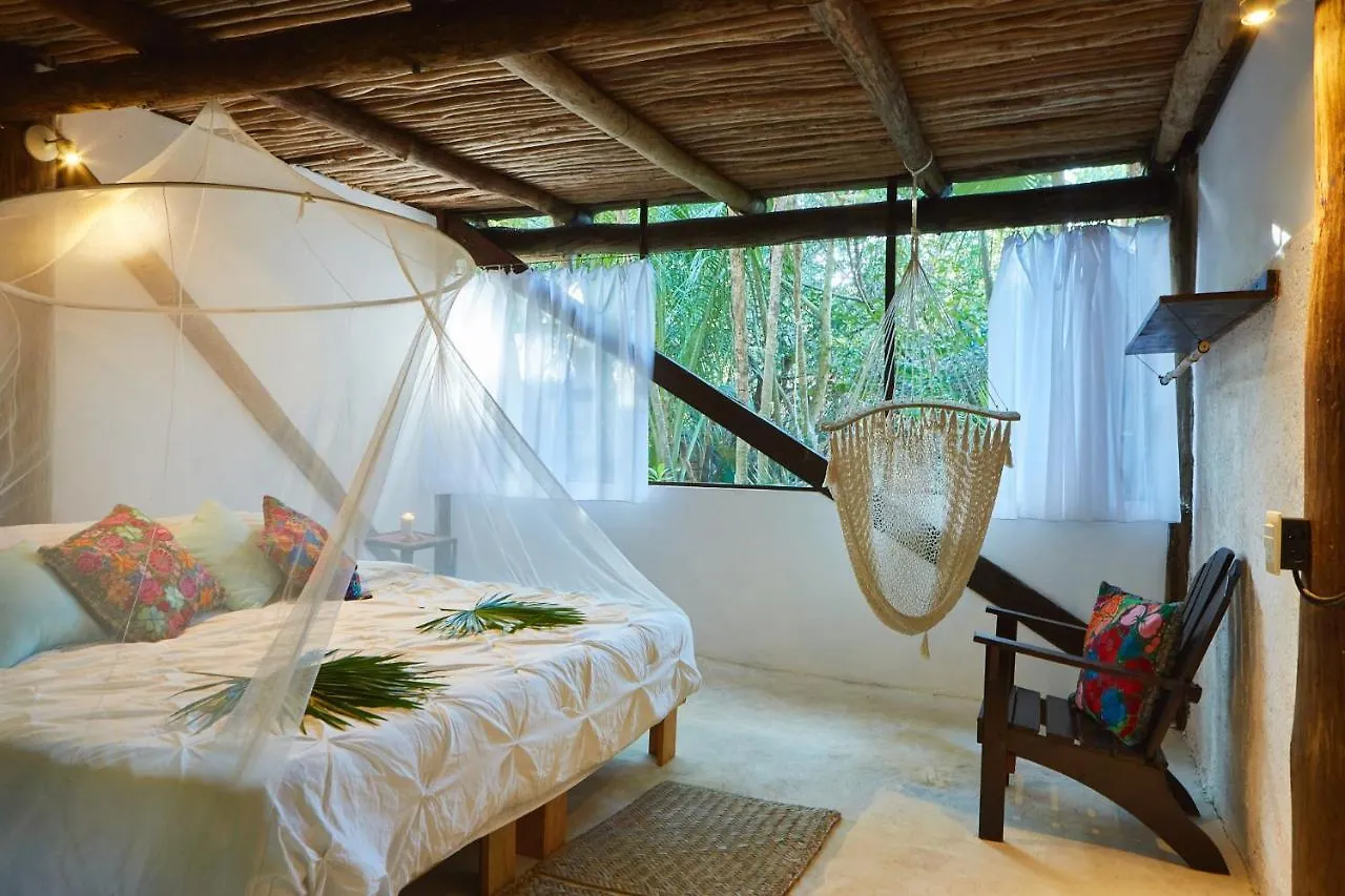 Hôtel Jungle Beach Tulum Mexique