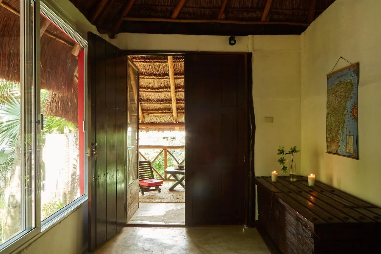 Jungle Beach Tulum Hotel