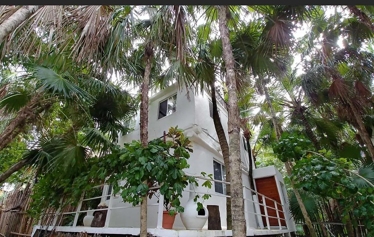 Inn Jungle Beach Tulum Hotel
